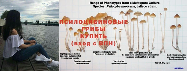 jwh Абдулино