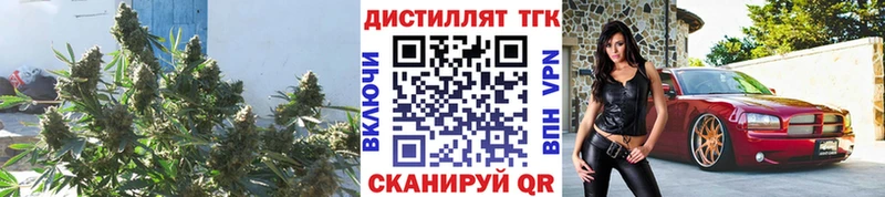 ТГК гашишное масло  купить наркотик  Власиха 