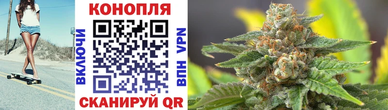 Конопля OG Kush  где купить наркоту  Власиха 